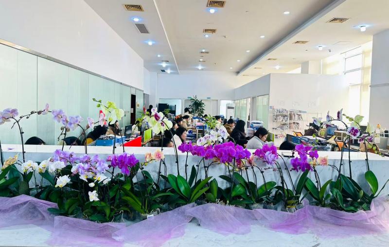 现代化办公楼外景,玻璃幕墙建筑,阳光照射,商业区环境